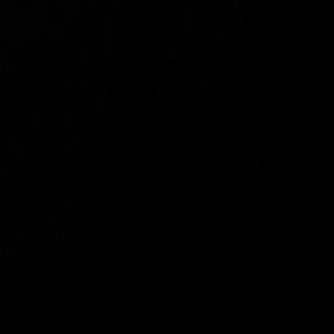 Meet your Posher, Chase